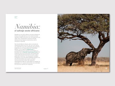 Namibia amsterdam bootcamp design ui ux web