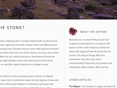 Fountainhead Blog purple statamic themes