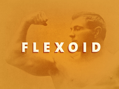 Flexoid New css library sass scss