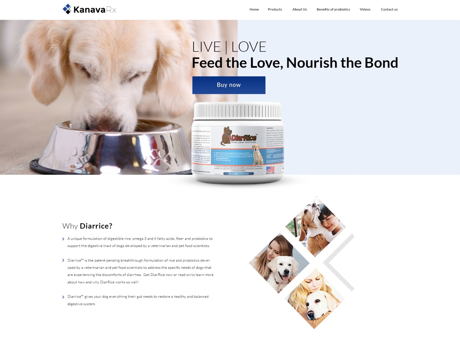 kanave home page branding dog dogs dogsite landingpage modern design typography ui ux vector webdesign webpagedesign website concept