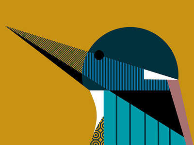 Kingfisher Illustration