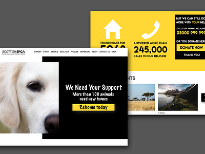 SSPCA Website Design adobexd animals animals illustrated charity design sspca ui ux webdesign