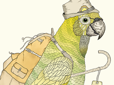 Hiking Parrot animals draw handmade illustration lowgiant photoshop