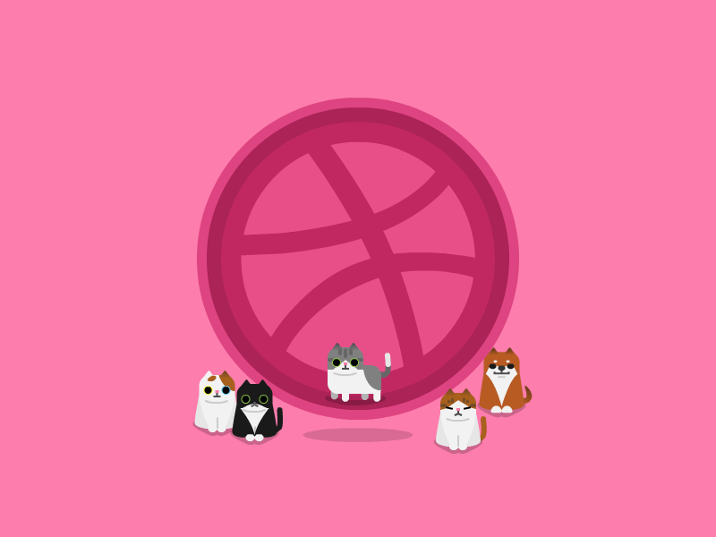 Hello animation cat dribbble first flash gif kitten pink shiba