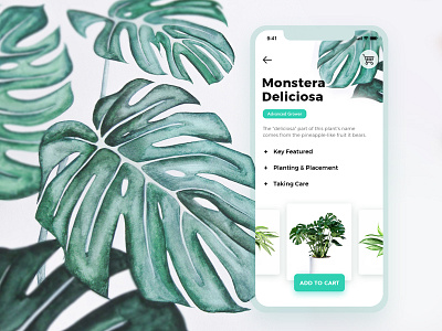 Monstera Deliciosa app cart green ios mobile painting plants store ui ux vegetation water color