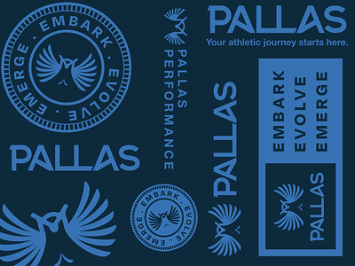 Pallas Flash Sheet brand identity brand identity design branding coaching fitness coach flash sheet logo logo sheet logotype performance coach sport wellness