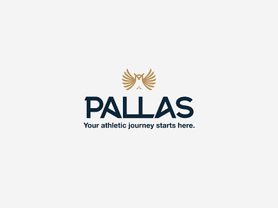 Pallas brand identity brand identity design branding coach branding fitness coach logo logo concept logotype owl logo performance coach sport design wellness
