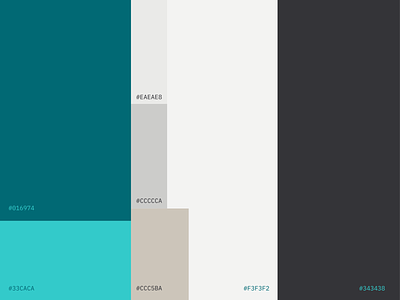 The PhysioFix Color Palette blue branding brand guidelines brand identity brand identity design branding color color palette fitness coach palette sport branding sport performance teal branding wellness