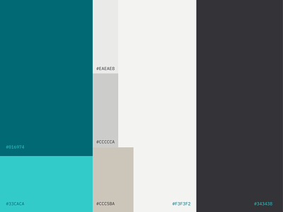 The PhysioFix Color Palette