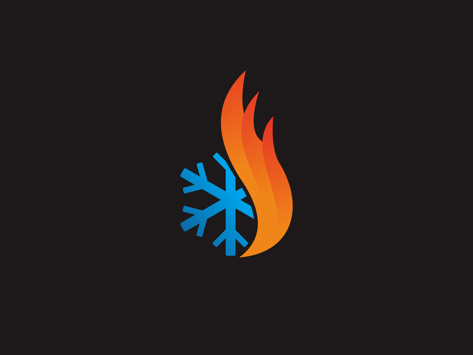 hoot and cool logo by box file on Dribbble