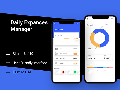 Daily Expance Manager