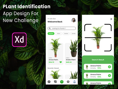 Plant Identification App Design app design identification ios design plant scan xd