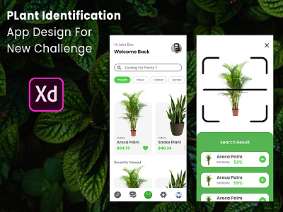 Plant Identification App Design