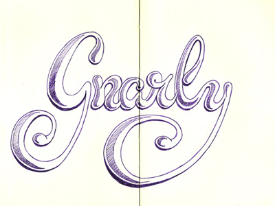 Gnarly illustration lettering moleskine typography