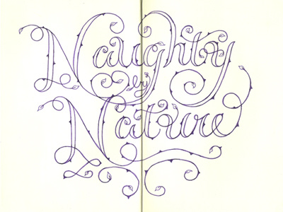 Naughty by Nature illustration lettering moleskine typography