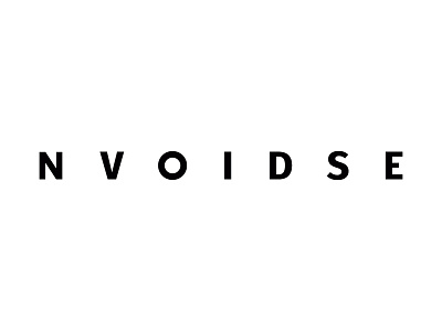 Noise And Void logo