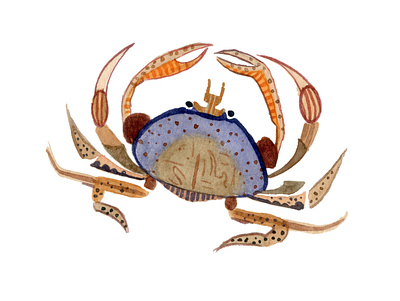 Crab art children book crab illustration watercolor