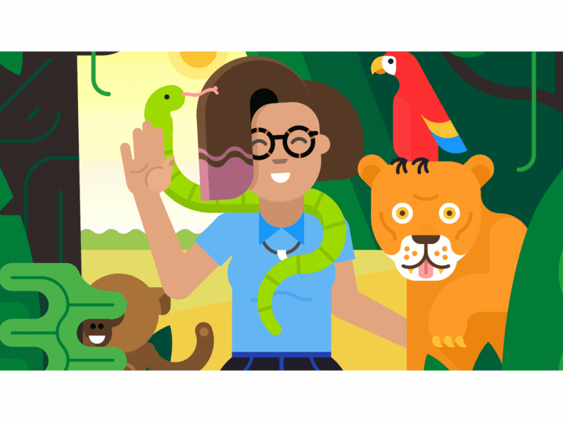 Jungle Fever animal animation character colorful explainer flat illustration tiger