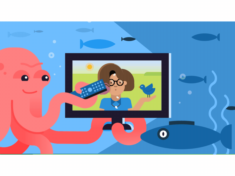 Octupus's garden animation character flat illustration motion motion graphics