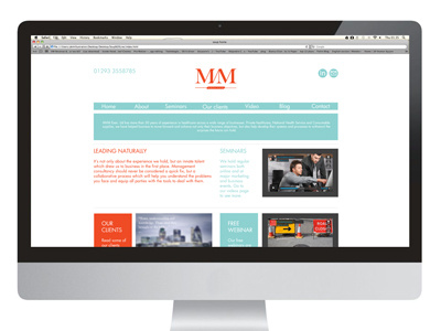 Management Consultancy - Website branding design identity reactive web