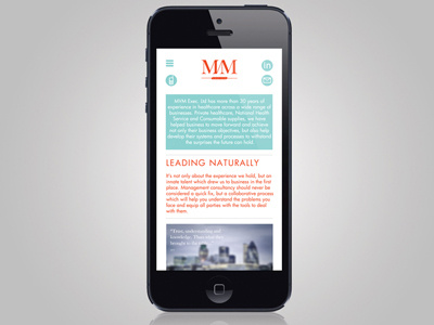 Management Consultancy - Mobile site branding identity mobile reactive web