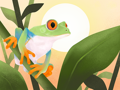 Frog p.m. illustration