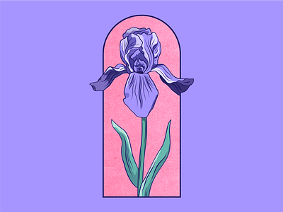 Study - Iris flower floral design flower flower illustration illustration illustrator iris nature petals purple