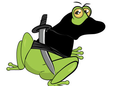 Ninja Frog frog illustration ninja