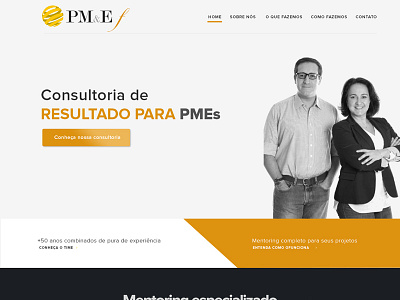 WIP Redesign PM&Ef consultant consulting corporate website