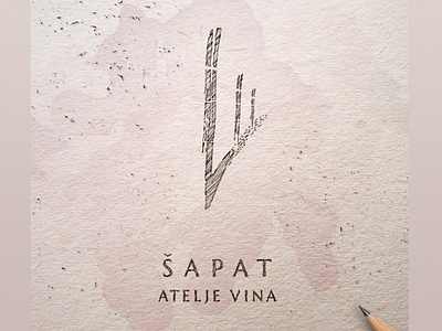 Wine studio Shapat (Whisper)