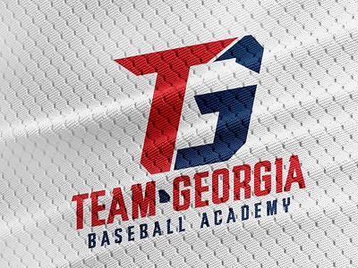 Team Georgia Baseball Academy