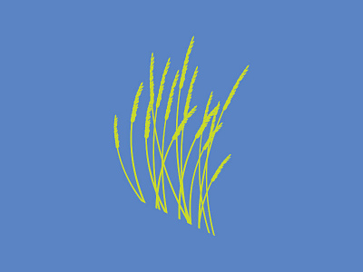 Seagrass