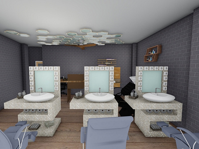 Salon interior project