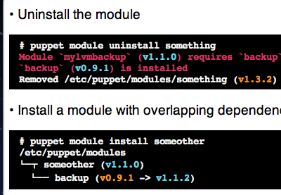 Puppet Module Tool (Wireframes) cli terminal wireframe