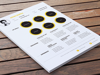 Minimal Resume / Simple CV chart clean cv graph icon minimal modern pie print resume simple