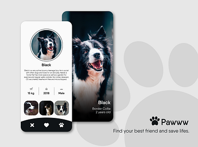 Daily UI 006 - User Profile - Dog Tinder app black challenge daily ui daily ui challenge dating design dog paw pet profile tinder uidailychallenge user profile