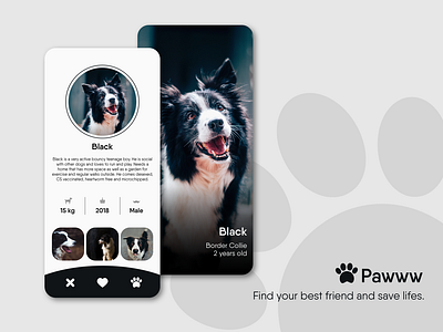 Daily UI 006 - User Profile - Dog Tinder