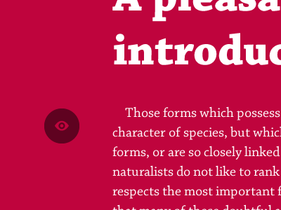 Just My Type | New look chaparral design experimentation grid layout type typography web