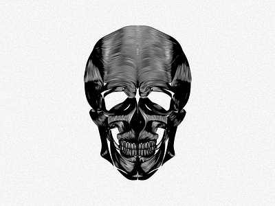 Skull eyes head lines pleuratbytyqi sceleton skull