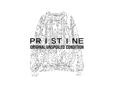 PRISTINE - OUC brand branding clothes condition design edition hoodie illustration kosovo original pleuratbytyqi pristine typography unspoiled wear zyreinternational