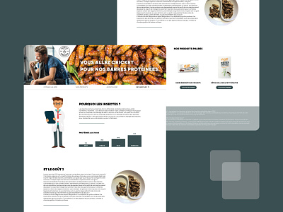 Redesign du site Insectes comestibles brand branding commerce concept design ecommerce ecommerce design flat food insect logo minimal product redesign ui ui design uidesign uiux ux web