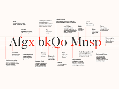 Typography Construction & Glossary construction font glossary type typeface typography