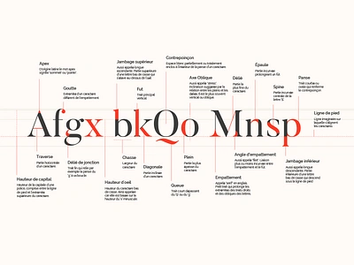 Typography Construction & Glossary construction font glossary type typeface typography