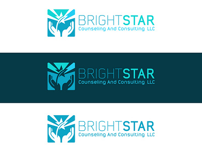 Bright star branding animation brand agency brand identity design branding design graphic design illustration logo logo 3d logo design minimal vector versatile versatile logo