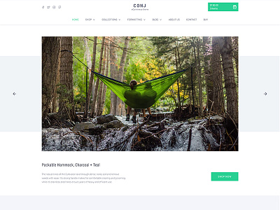 CONJ - Camping WordPress Theme