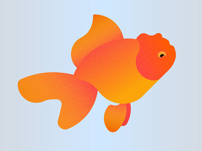 Goldfish Gold Fish Designs Themes Templates And Downloadable Graphic Elements On Dribbble