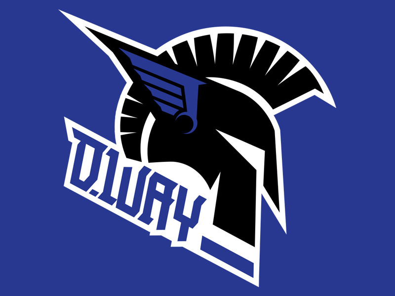 Danny Way Branding crest icon helmet logo branding dway skateboarding danny way