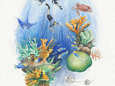 Earthwatch Environmental Non-Profit - Coral Reef Detail coral reef illustration nature illustration ocean watercolor