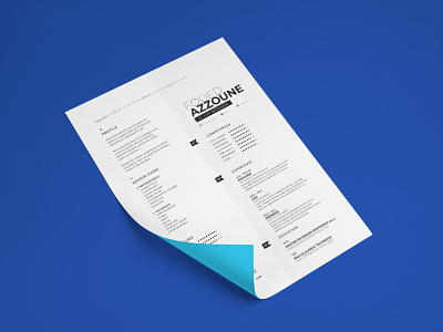 Resume 2023 cv flat design print resume simple