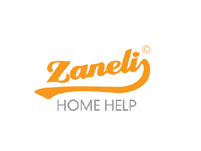 Logo Zaneli Home calligraphy logotype vector designs